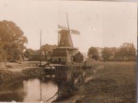 Molen